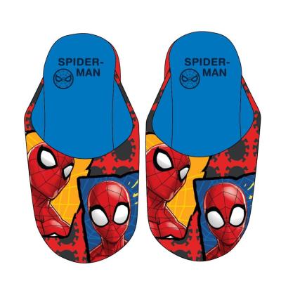 SPIDERMAN