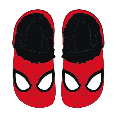 SPIDERMAN
