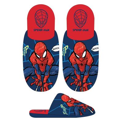 SPIDERMAN