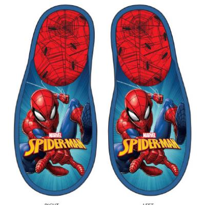 SPIDERMAN
