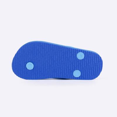 Chinelos Flip-Flop Sonic para Aventura – Pack 12