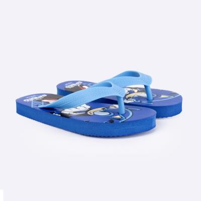 Chinelos Flip-Flop Sonic para Aventura – Pack 12