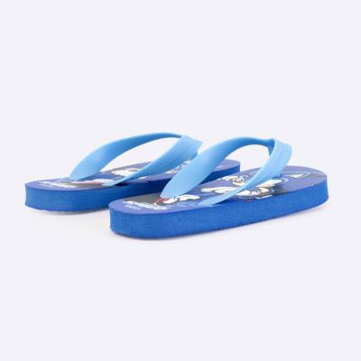 Chinelos Flip-Flop Sonic para Aventura – Pack 12