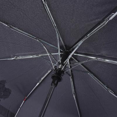 Guarda-Chuva Automático Mudança de Cor Harry Potter – Pack 6