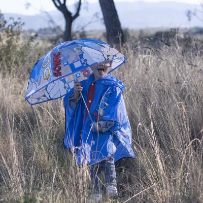 Guarda-Chuva Manual Sonic – Pack 4