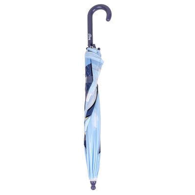 Guarda-Chuva Bolha Manual Bluey – Pack 4