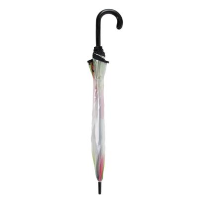 Guarda-Chuva Manual Wicked – Pack 4