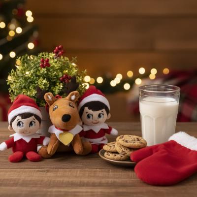 Clipe para Saco 16 Peças The Elf – Pack 16