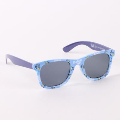 Conjunto de Estojo para Óculos de Sol Bluey – Pack 6