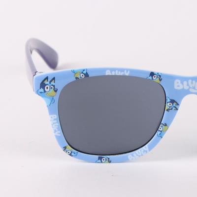 Conjunto de Estojo para Óculos de Sol Bluey – Pack 6