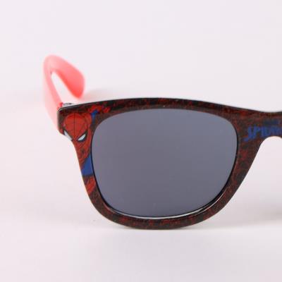 Conjunto de Estojo para Óculos de Sol Spiderman – Pack 6