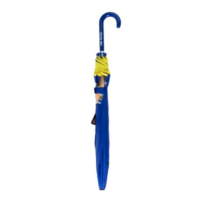 Aplicações Manuais de Guarda-Chuva Paw Patrol – Pack 4
