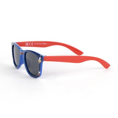 Conjunto de Estojo para Óculos de Sol Sonic – Pack 6