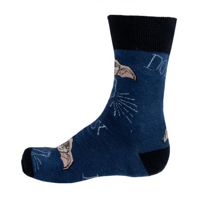 Conjunto de Papelaria de Meias Harry Potter Dobby – Pack 12