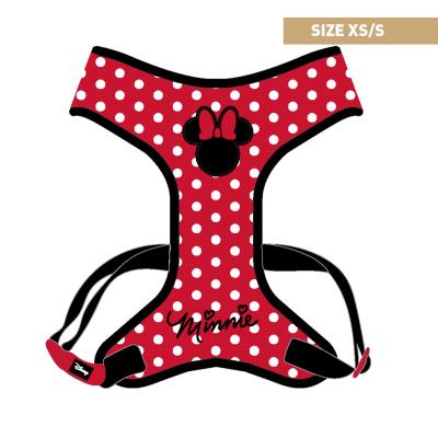 MINNIE