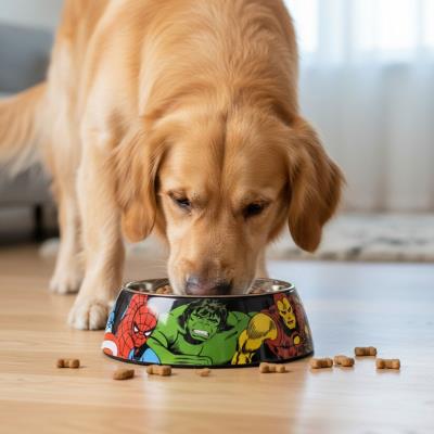 Alimentador para Cães Marvel – M – Pack 4