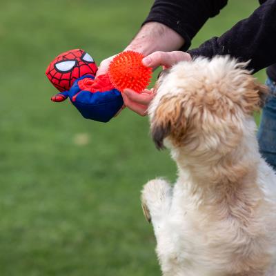 Bola de Brinquedo para Cão Spider-Man – Pack 4