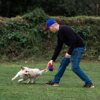 Bola de Brinquedo para Cão Spider-Man – Pack 4
