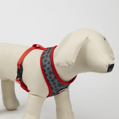 Arnês Premium para Cães XXS/XS Minnie Mouse