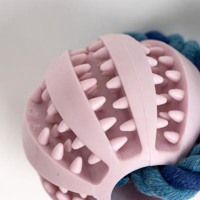 Brinquedo para Cão de Corda Stitch – Pack 4