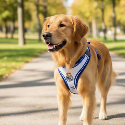 Arnês para Cães Real Madrid XS