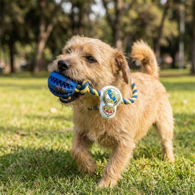 Brinquedo de Corda para Cão Real Madrid – Pack 4