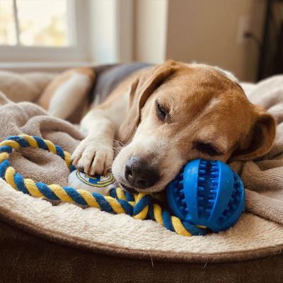 Brinquedo de Corda para Cão Real Madrid – Pack 4