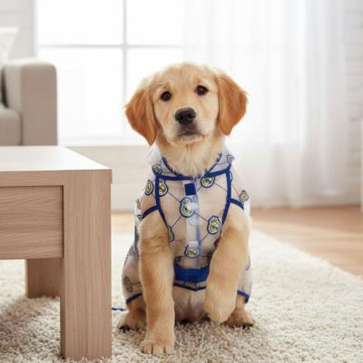 Capa de Chuva Ajustável para Cão Real Madrid – Pack 12