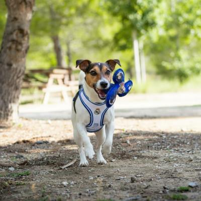 Brinquedo para Cão TPR Real Madrid – Pack 2