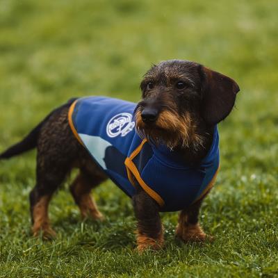Camisola de Cão de Lã Polar Real Madrid – Pack 10