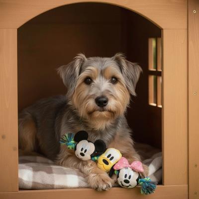 Brinquedo Mickey Mouse com Dente de Cão – Pack 4