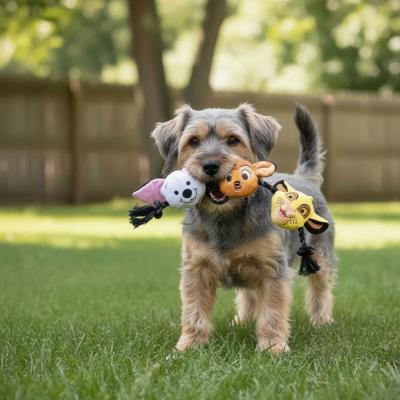 Brinquedo de Dente de Cão Disney – Pack 4