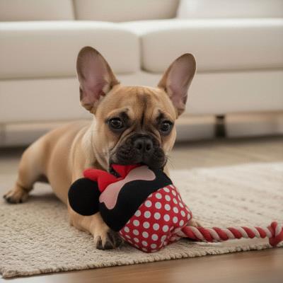Brinquedo Minnie Mouse com Dente de Cão – Pack 4