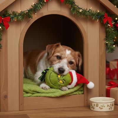 Brinquedo de Dente de Cão The Grinch – Pack 4
