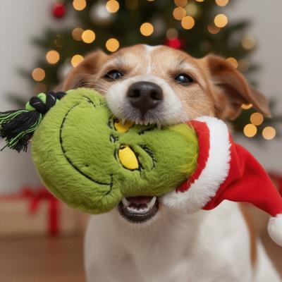 Brinquedo de Dente de Cão The Grinch – Pack 4
