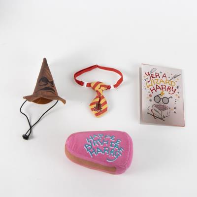 Conjunto de Pet de Aniversário Harry Potter – Pack 2