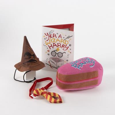 Conjunto de Pet de Aniversário Harry Potter – Pack 2