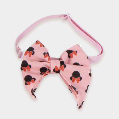 Conjunto de Animais de Aniversário Minnie Mouse – Pack 2