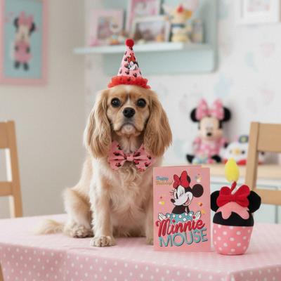 Conjunto de Animais de Aniversário Minnie Mouse – Pack 2