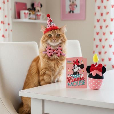 Conjunto de Animais de Aniversário Minnie Mouse – Pack 2