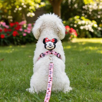 Conjunto de Arnês e Tela Minnie Mouse – Pack 6