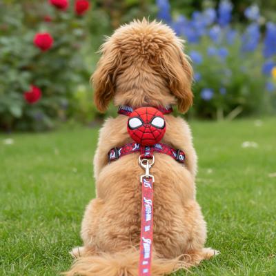 Conjunto de Arnês e Tela Spider-Man – Pack 6