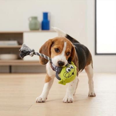 Corda de Dente para Cão de Peluche Toy Story – Pack 4