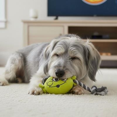Corda de Dente para Cão de Peluche Toy Story – Pack 4