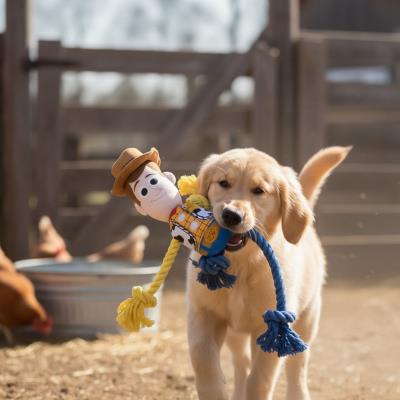 Brinquedo de Cão de Corda Woody – Pack 4