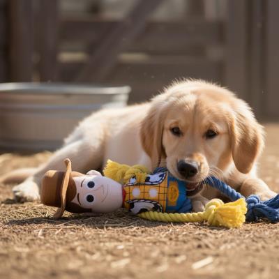 Brinquedo de Cão de Corda Woody – Pack 4
