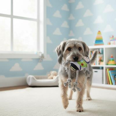 Brinquedo de Cão de Corda Buzz Lightyear – Pack 4