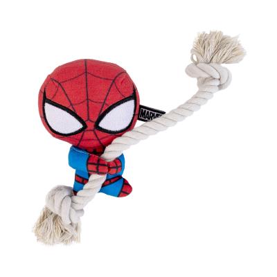 SPIDERMAN