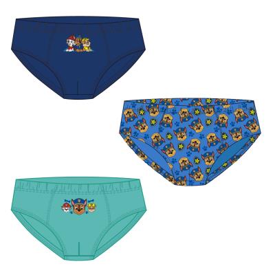 PAW PATROL