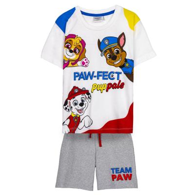 PAW PATROL